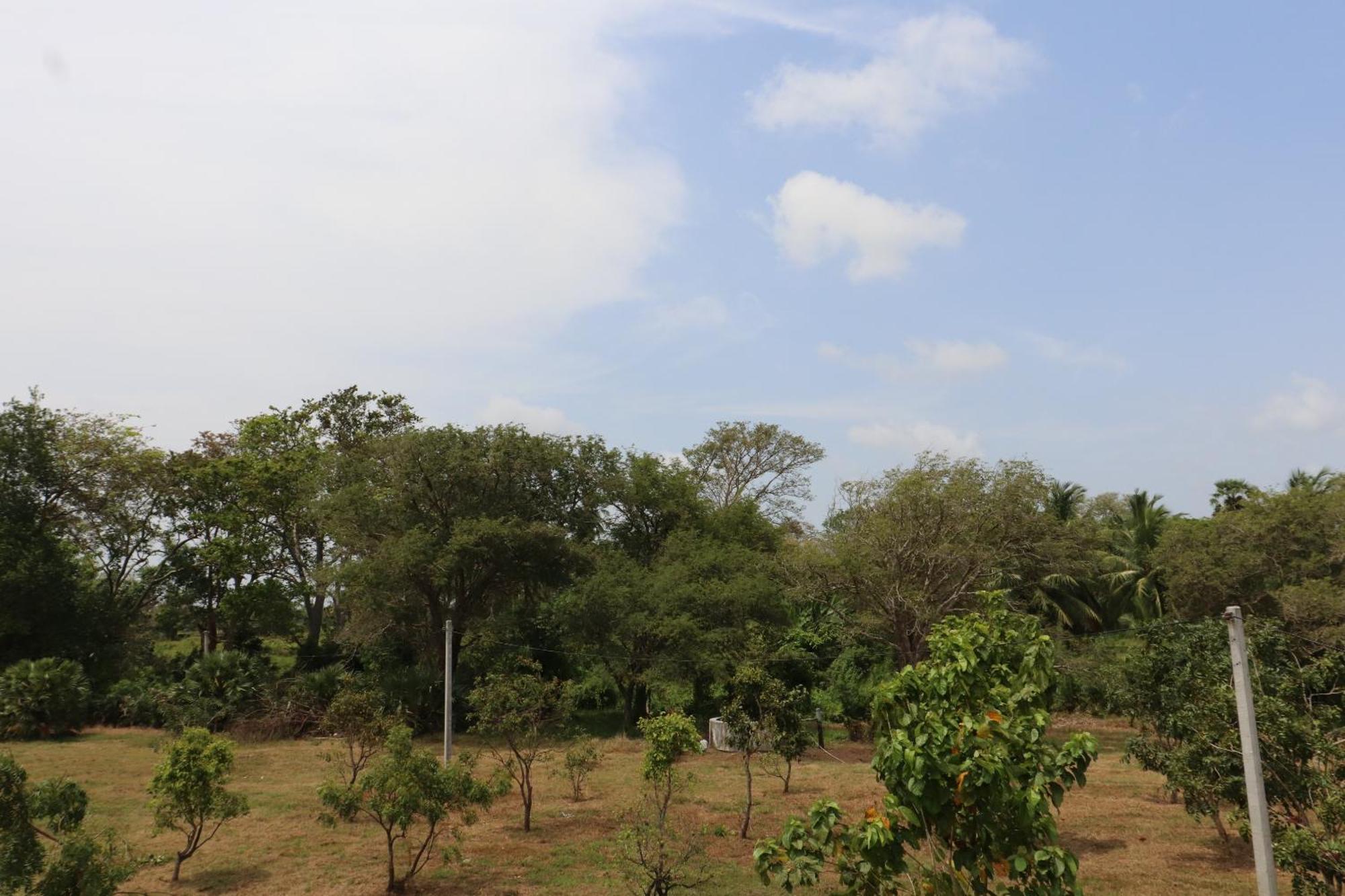 Hotel Kayjay Wild Wilpattu Exterior foto