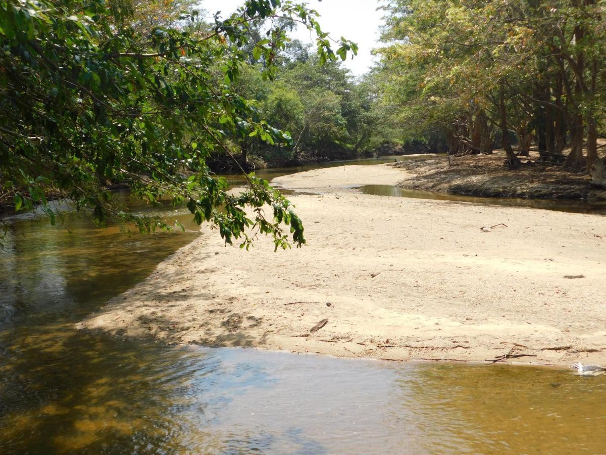 Hotel Kayjay Wild Wilpattu Exterior foto